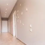 Dogana 4*